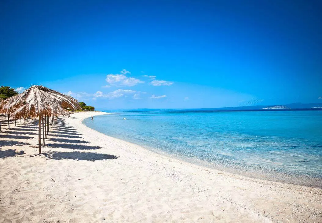 metafora atomwn amea sti xalkidiki